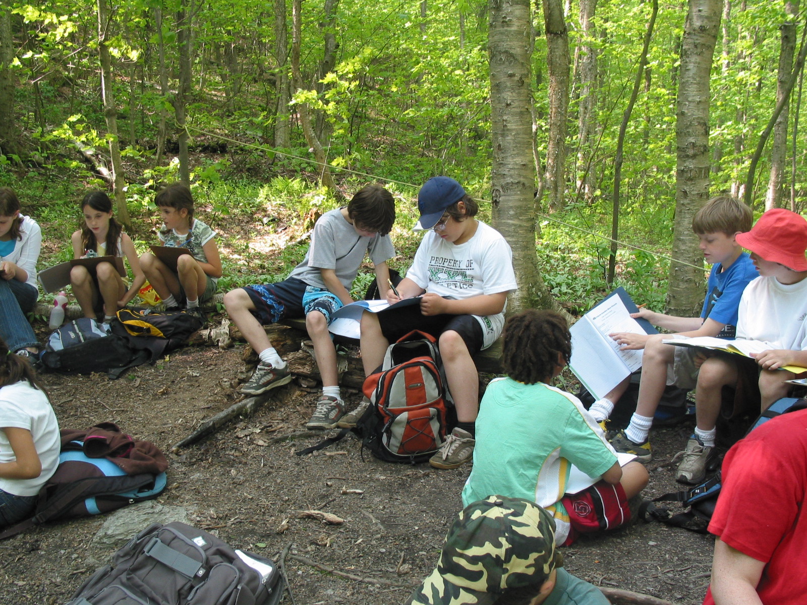 Kids working on project in woods