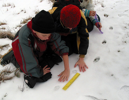 Measuring tracks in the snow